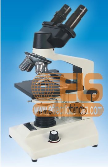Binocular Microscope Model 